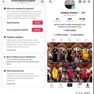 tiktok usa monetize account