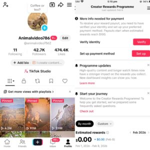 tiktok account available uk monetize account 42k+ follwers animal content all ok account